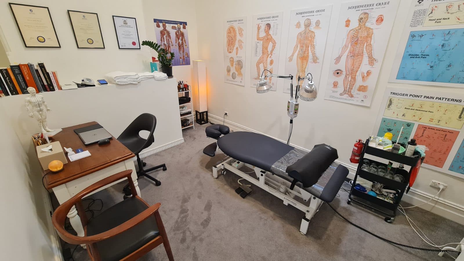 Why Your Recovery Is Better When a Physio Is Involved